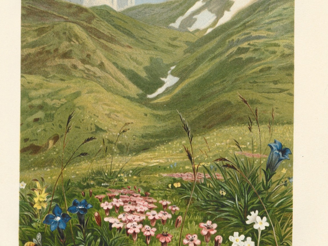 Primavera (Poema) – Por John Latham